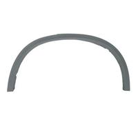 Bande de protection d'aile arrière gauche 5703-04-0096597PP BLIC pour BMW X5