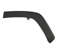 Aile - moulure / protection BLIC 5703-04-8186597P
