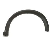Aile - moulure / protection BLIC 5703-05-1307922P