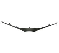Pièces de grille de radiateur BLIC 6502-07-8157210P