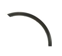 Aile - moulure / protection BLIC 6601-02-3536421P