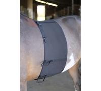 Bande de respect pour cheval Norton Noir L