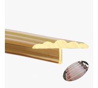 Bande de transition de sol en laiton en forme de T, barre de seuil Durable de 3,3 pieds for sols en bois, vinyle, stratifié et carrelage, 1 pièce(15x6.3mm(0.59x0.25 in))