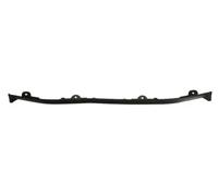 BLIC 6502-07-3181970P Bandeau pare-choc
