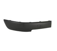 Pare-Chocs Moulure Bandes Décoratives avant Droit Compatible: Renault Megane II