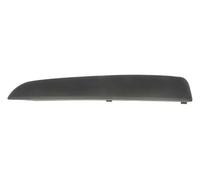 Baguette / bande protectrice, pare-chocs BLIC 5703-05-5063923Q gauche