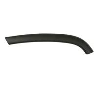 Bande décorative de porte arrière gauche noir 5703-08-3206373P BLIC pour JEEP