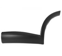 Bande décorative de porte avant gauche 5703-04-7821575P BLIC