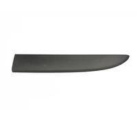Bande décorative de porte gauche FT90965 FAST pour RENAULT FIAT NISSAN