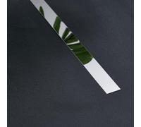 Bande décorative en acier inoxydable pour plafonds et murs - 25 mm de large x 5 m de long - Métal plat pour bande de bord, résistante à la rouille, idéale pour Li (argent)