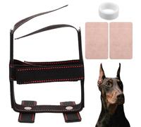 Bande d'oreille pour chien, kit de pose d'oreille Doberman, correction adhésive, bande d'oreille verticale pour chien âgé de 2 à 4 mois, support d'oreille de chien pour Samoyèdes,chiens Pinscher