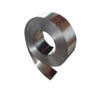 Bande étroite en Acier Inoxydable à Haute élasticité de 1 mètre, Largeur 100 mm, épaisseur 0,01 mm - 0,9 mm, Bande Mince en Feuille d'aluminium pour l'artisanat(0.9x100x1000mm)
