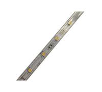 Bande LED SMD5050 30 LED 6000K° IP65 Bobine