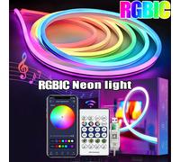 Bande lumineuse néon RGB+IC 5V, 1M 2M 3M 5M 10M, USB, étanche, flexible, avec télécommande Bluetooth, pour la décoration de la maison