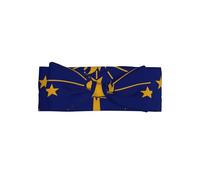Bandeau avec nœud pour bébé avec motif drapeau de l'État de l'Indiana, fabriqué en matériau doux et agréable pour la peau.
