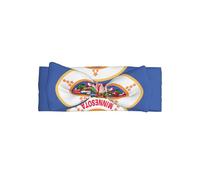 Bandeau Bébé Fille Imprimé Drapeau de l'Etat du Minnesota - Accessoires Cheveux Souple Élastique Nœud en Nylon pour Bébé Fille