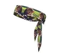 Bandeau de lecture hérisson imprimé sérieusement, bandeau adiustable, parfait pour la course, le fitness et d'autres sports.