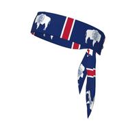Bandeau de sport avec drapeau de l'État du Wyoming - Réglable - Antidérapant - Évacuation de l'humidité - Pour la course à pied et les ninja