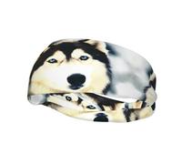 Bandeau de sport avec imprimé husky sibérien pour homme et femme - Bandeau élastique pour gym, exercice, course à pied