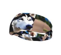 Bandeau de sport avec motif chien husky pour homme et femme, convient pour la course, le yoga, le fitness, le football