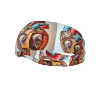 Bandeau de sport décoratif AEKGOHP Anatomie humaine Cœur imprimé - Extensible, respirant, doux et évacuant la transpiration pour homme et femme