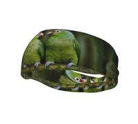 Bandeau de sport décoratif AEKGOHP deux perroquets sur palmier vert imprimé - extensible, respirant, doux et évacuant la transpiration pour homme et femme