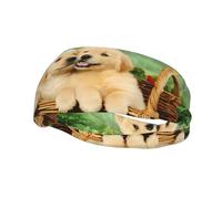 Bandeau de sport décoratif AEKGOHP Dog Golden Retriever - Extensible, respirant, doux et évacuant la transpiration pour homme et femme