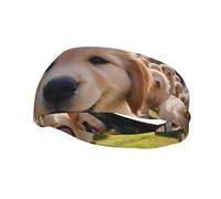 Bandeau de sport décoratif BROLEO Golden Retriever Puppies - Bandeau extensible, respirant, doux et évacuant la transpiration pour homme et femme