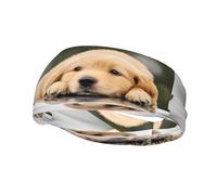 Bandeau de sport décoratif imprimé AEKGOHP Lazy Dog Puppy - Extensible, respirant, doux et évacuant la transpiration pour homme et femme
