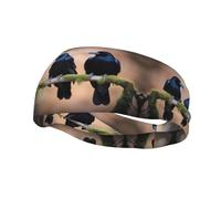 Bandeau de sport décoratif YYHHAOFA avec deux corbeaux noirs - Bandeau extensible, respirant, doux et évacuant la transpiration pour homme et femme