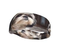 Bandeau de sport décoratif YYHWHJDE Shih Tzu imprimé chien - Bandeau extensible, respirant, doux et évacuant la transpiration pour homme et femme