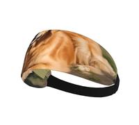 Bandeau de sport élastique AEKGOHP Golden Retriever - Séchage rapide - Évacuation de l'humidité