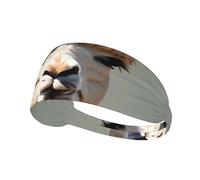 Bandeau de sport élastique imprimé alpaga Avatar - Bandeau de sport extensible - Convient pour le sport, les voyages et le fitness en intérieur