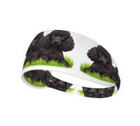 Bandeau de sport élastique imprimé caniche YYHHAOFA doux, respirant, séchage rapide