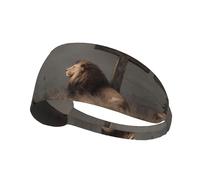 Bandeau de sport élastique imprimé lion in the distance: bandeau élastique pour course à pied, gym, cyclisme, yoga, fitness et voyage