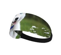 Bandeau de sport élastique pour cheveux YYHWHJDE aux yeux bleus Motif husky doux, respirant, séchage rapide