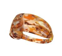 Bandeau de sport élastique pour cheveux YYHWHJDE écureuil recherche de nourriture pour femmes et hommes