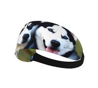 Bandeau de sport élastique pour cheveux YYHWHJDE Husky Chiens Doux Respirant Séchage rapide