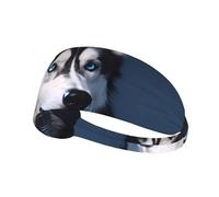 Bandeau de sport élastique pour cheveux YYHWHJDE Husky - Séchage rapide - Évacuation de l'humidité