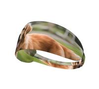 Bandeau de sport élastique pour cheveux YYHWHJDE mignon Golden Retriever Imprimés, Spandex, doux, respirant, séchage rapide