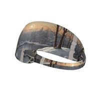 Bandeau de sport élastique pour cheveux YYHWHJDE The Bitter Cold Winter Prints Spandex, doux, respirant, séchage rapide
