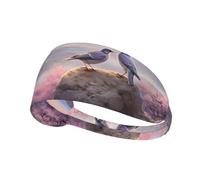 Bandeau de sport élastique pour femme et homme Motif YYHWHJDE Deux oiseaux sur un rocher