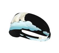 Bandeau de sport élastique YYHHAOFA Ours polaire sur le nuage Imprimé doux, respirant, séchage rapide