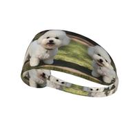 Bandeau de sport élastique YYHWHJDE Bichon Frise Chien Image Séchage Rapide Évacuation de l'humidité