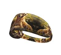 Bandeau de sport élastique YYHWHJDE Golden retriever à séchage rapide, évacuation de l'humidité