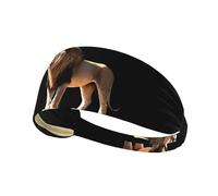 Bandeau de sport élastique YYHWHJDE le lion sous la croix imprimé bande athlétique pour femmes et hommes