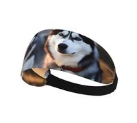 Bandeau de sport élastique YYHWHJDE motif chien husky doux, respirant, séchage rapide