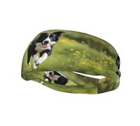 Bandeau de sport polyvalent imprimé XBKGOHA Border Collie - Bandeau extensible et évacuant l'humidité pour le yoga, le fitness