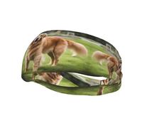 Bandeau de sport polyvalent XBKGOHA mignon golden retriever imprimé - Bandeau extensible et évacuant l'humidité pour le yoga et le fitness
