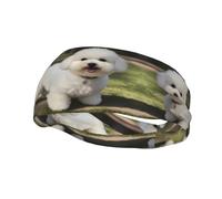 Bandeau de sport polyvalent YYHWHJDE Bichon Frise imprimé chien - Bandeau extensible et évacuant l'humidité pour yoga, fitness